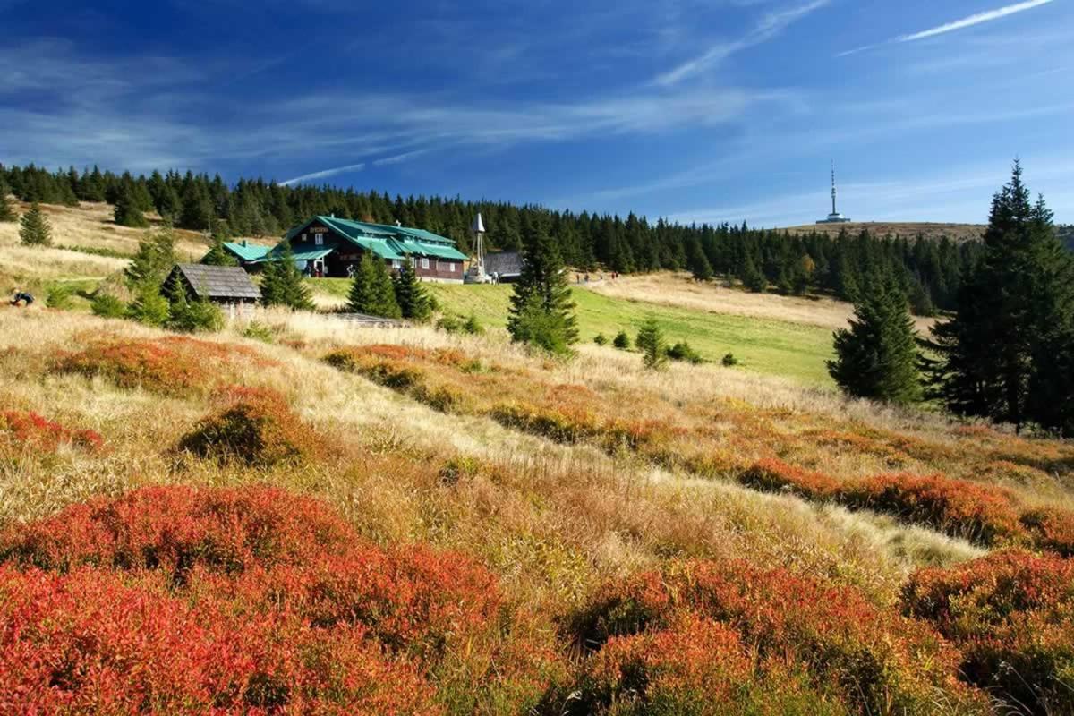 Horsky Hotel Neptun Malá Morávka エクステリア 写真